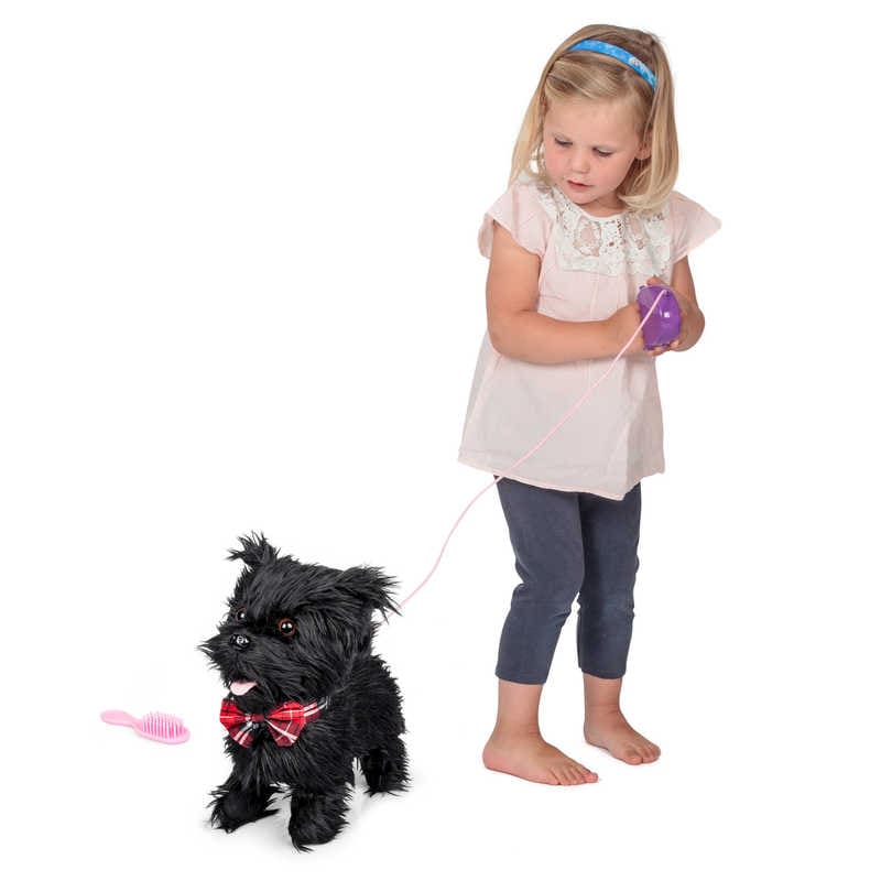 Scotty gående hund med lyd