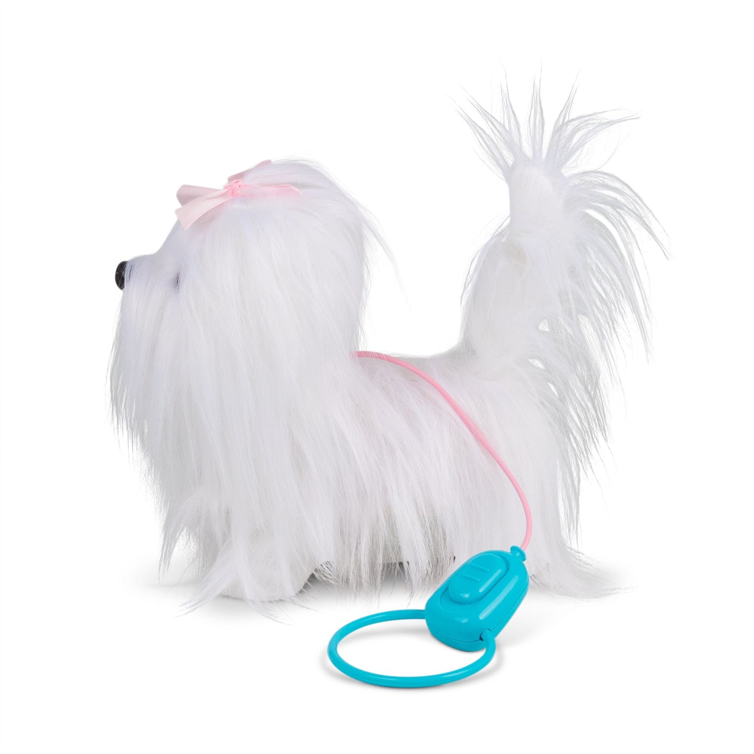 Magnificent Maltese gående hund med lyd
