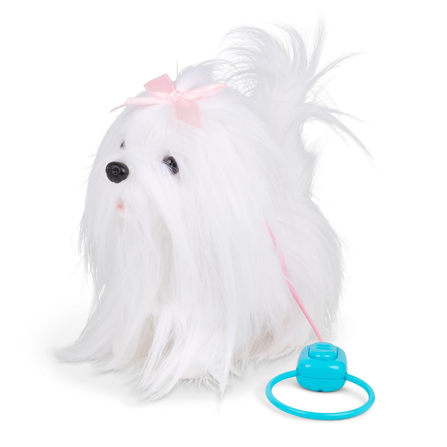 Magnificent Maltese gående hund med lyd