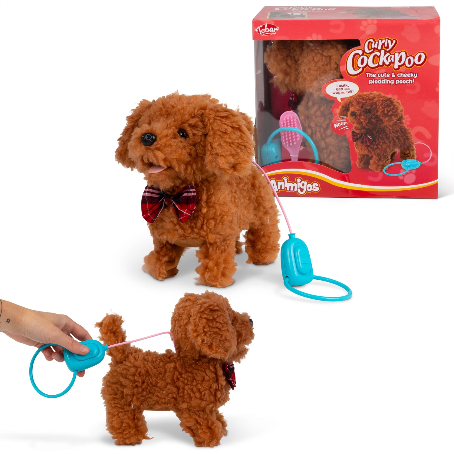 Curly Cockapoo gående hund med lyd