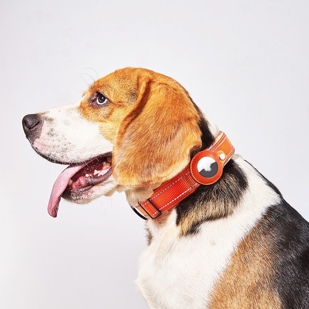 Apple AirTag Hundehalsbånd med reflekser M, Sort