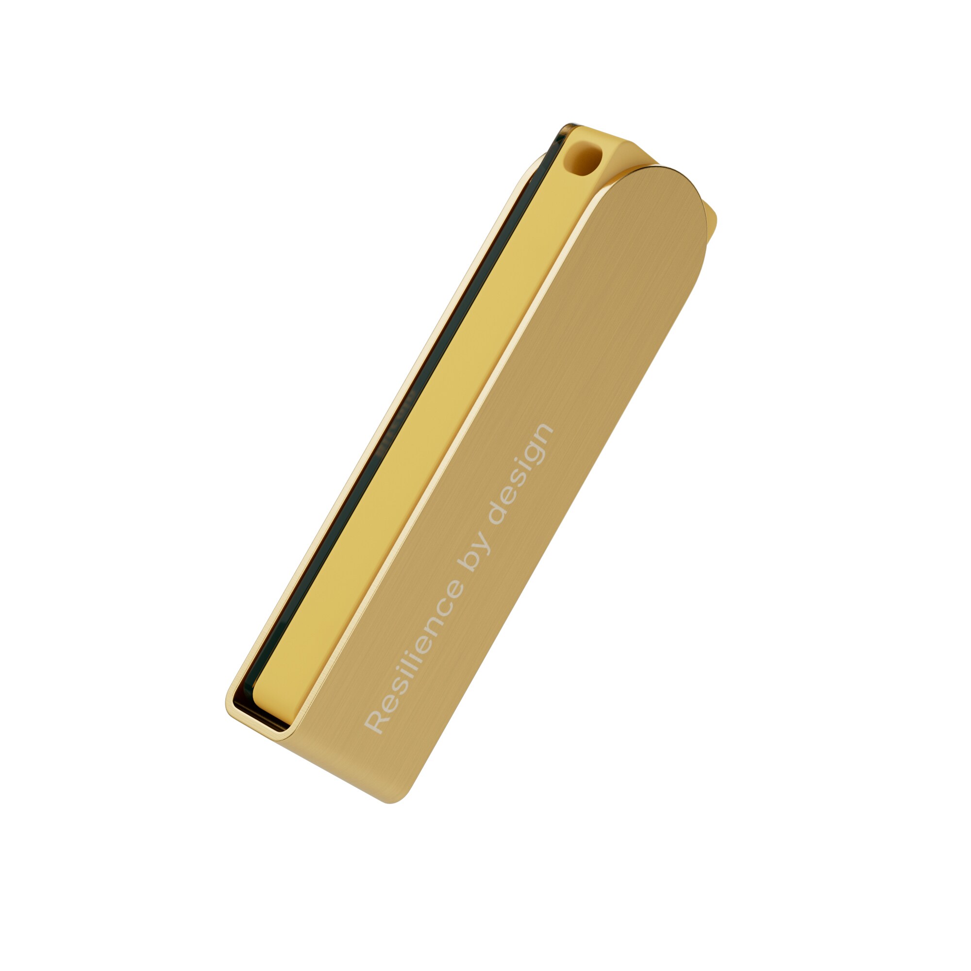 Nano X Krypto hardware pung, Guld