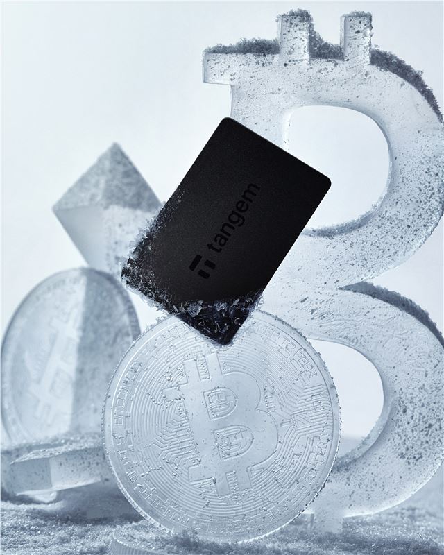 3-pak kort krypto hardware pung, Sort